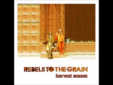 Rebels To The Grain - Hello