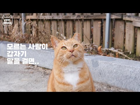 버찌는 I타입일까? E타입일까?