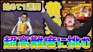 サウスト 始めて一週間で超高難度 黄猿 に挑む初心者 ぎこちゃん أفضل موقع لتشغيل ملفات Mp3 مجان ا サウスト 始めて一週間で超高難度 黄猿 に挑む初心者 ぎこちゃん أفضل موقع لتشغيل ملفات Mp3 مجان ا