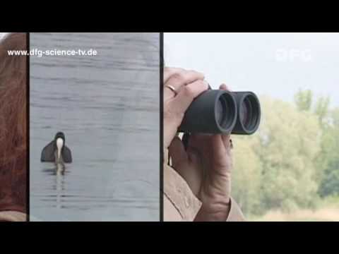 DFG Science TV: Lake Constance Menu - Trailer