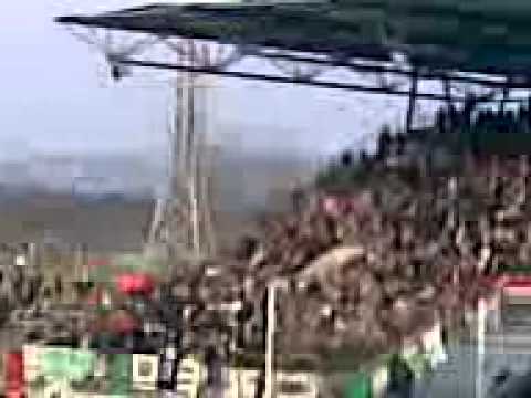 ZTE-Haladás 1:1 2011.02.26. 3