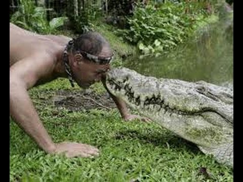 مشهد خطييييير تمساح ياكل سمكة من فم انسان !!! The young  reckless and the crocodile