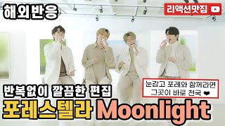[반복없이깔끔한편집] 포레스텔라 Forestella Moonlight reaction 해외반응 리액션 모음