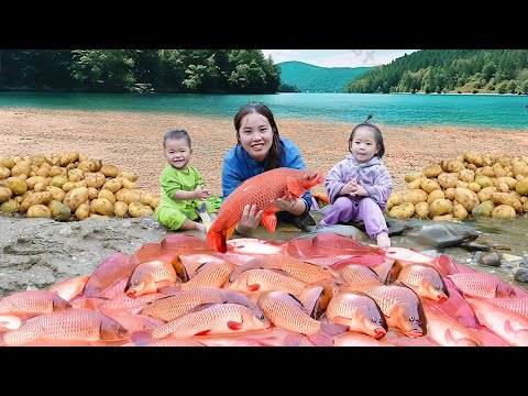 Mysterious Fish shoal appear with Heavy Rain. Ms. Duong’s family Fishing in the Storm | Village Life
