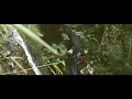 Sleeping With Sirens - Legends | Fan made music video Sleeping With Sirens - Legends | Fan made music video