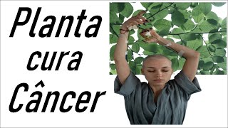 Essa Planta Vale Ouro ( Combate ate Cancer)