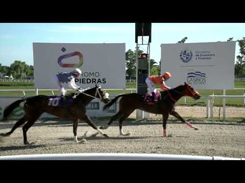 211217 c07 - SKANDAL - HIPODROMO LAS PIEDRAS