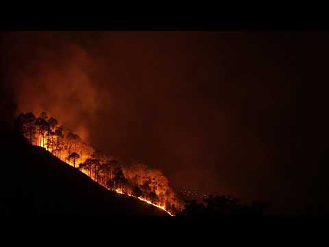 Wildfire Forest Fire (FREE STOCK VIDEO)