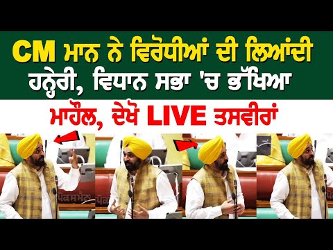 Punjab CM Bhagwant Mann Speech During Day 2 of Vidhan Sabha's Monsoon Session