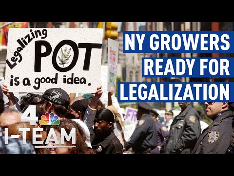 Can I Buy Medical Cannabis in New York?