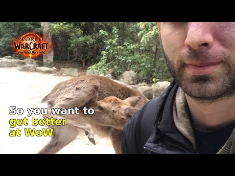 The Ultimate Guide to Getting Better at World of Warcraft