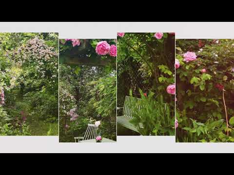 AWARD - GARDEN OF THE YEAR 2021 -  The Heartgardener®