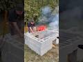 Whole Hog Cinder Block Pit Al Frugoni Open Fire Cooking
