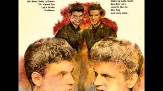The Everly Brothers-Crying In The Rain.mp3