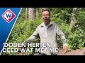 Van scheuren in je oldtimer, naar zelf je energie opwekken: George gooit het roer om - OMROEP WEST