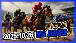 2025년 10월 26일 일요 서울경마 전체경주 모아보기