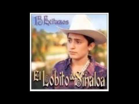 El Lobito de Sinaloa La Rubia y La Morena