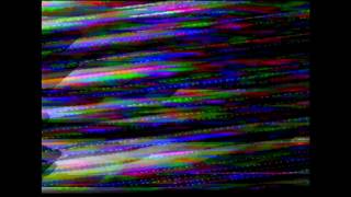 White Skull - In Caesar We Trust [320kbps]