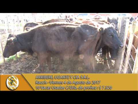 04-08-17 Venta de Vientre - Arribere, Ugarte y Cía. - Rauch