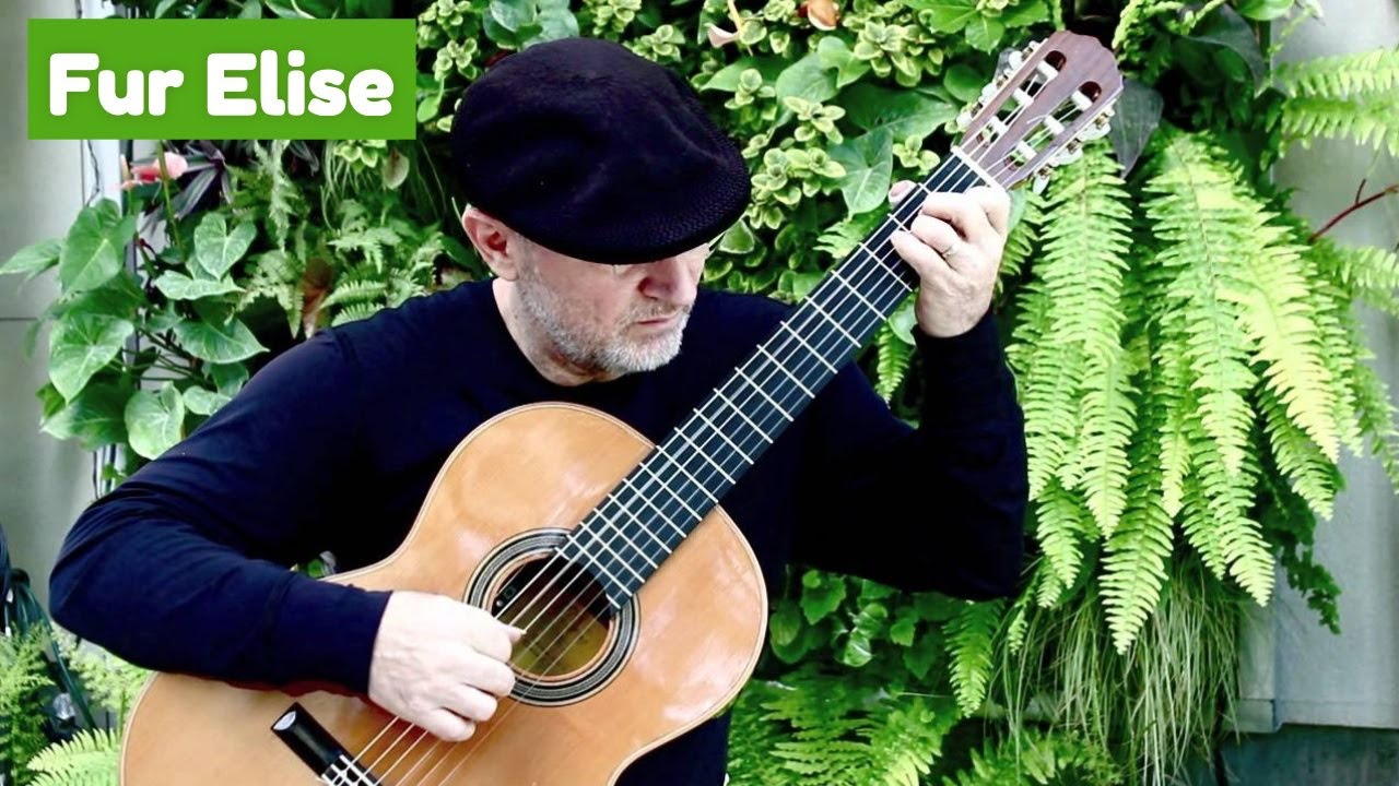 Promotional video thumbnail 3 for Michael Lucarelli