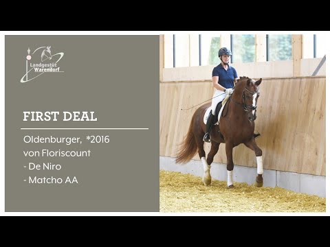 First Deal 21 09 2021 Trainingsvideo