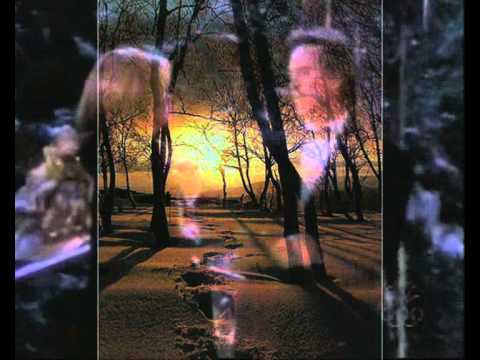 Tiché gloria ~ One Day In Your Life