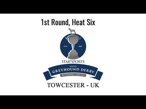Whoops Jack (W) Wins 1st Round Heat 6 of Towcester Star Sports Derby - May 3rd 2018 (Official Video)
