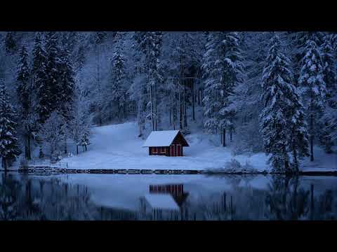 Funky House Mix by Cole 2022 (Forest)#funkyhouse#discohouse#funkymix