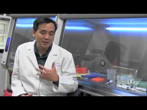 How to Survive a Hantavirus