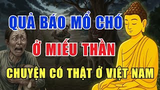 Báo Ứng Hiện Đời - Tội Mổ Chó Ở Miếu Và Cái Kết KHỦNG KHIẾP!