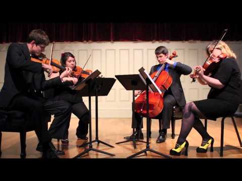 Videri String Quartet ~ RWBY: Red Like Roses