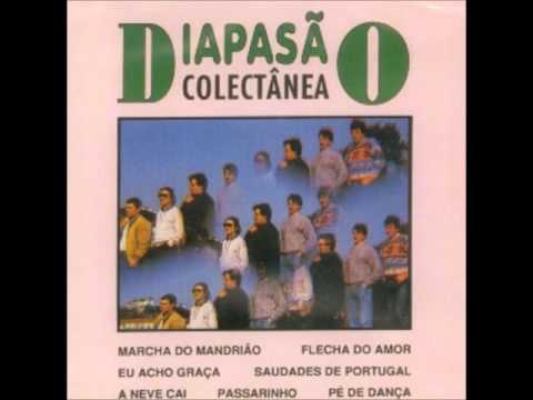 diapasao passarinho cantou agrupamento musical diapasao