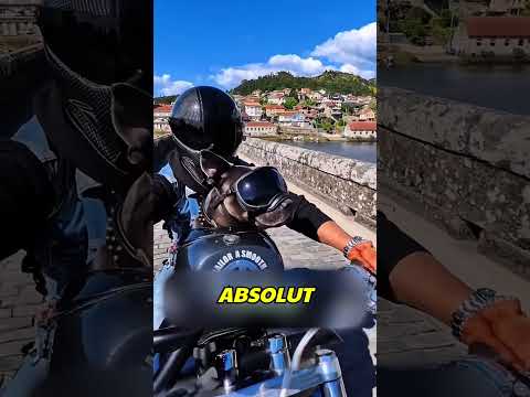 Câinele motociclist matinal! 🏍️