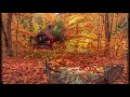 Autumn is My Favorite Time of Year