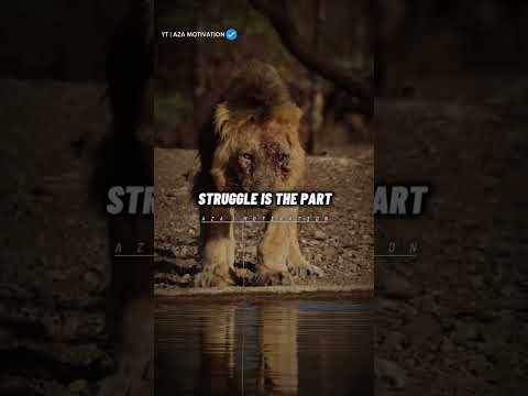 Never Lose Hope🔥 Motivational qoute AZA MOTIVATION #motivation #shorts #youtubeshorts