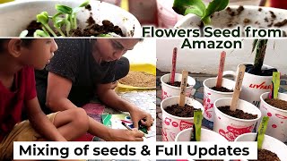 My First Online Seeds Review With Full Updates| Amazon Flower Seeds