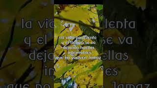 El tiempo tambien se Va Poemas Cortos de Amor y romance