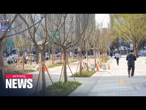 Construção concluída na Sejong-daero Forest Street, em Seul, aberta ao público