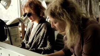 Radcliffe Trust PROMOTIONAL FILM   REVISED CREDITS