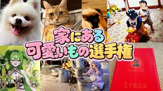 家にある可愛いもの選手権 - マインクラフト【KUN】
