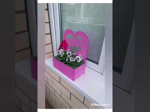 Студия Апарт Комфорт на Конгрессной у Экспоград-Юг — xl.webp