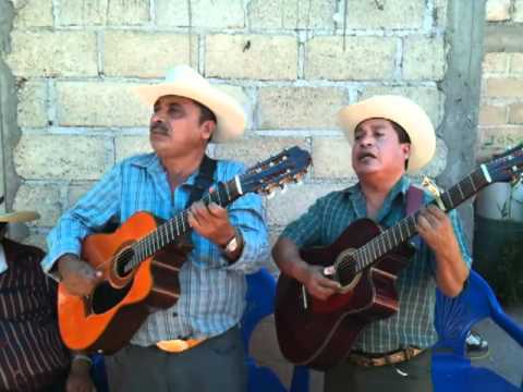 Los Jilgueros Del Pico Real (El Guellerito)