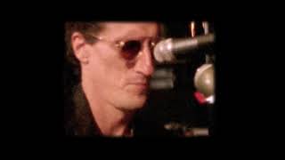 The Revivalists - Hate To Love You