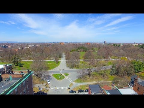 227 JAY ST, ALBANY NY 12210