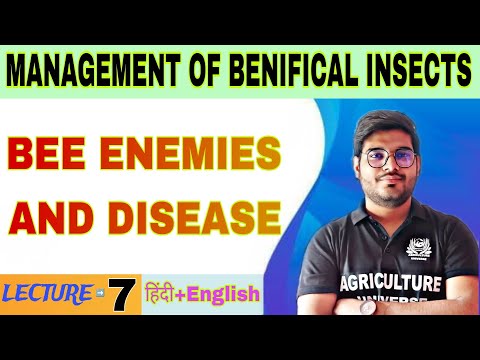 importance of beneficial insects management of benifical insects bsc agriculture 5th sem