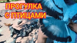 ЗАПОРОЖЬЕ ГОЛУБИ МИРА ИЮЛЬ ЖАРА 2026
