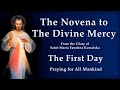 Day 1 Novena To The Divine Mercy From The Diary Of St Faustina Kowalska Jesus I Trust In You