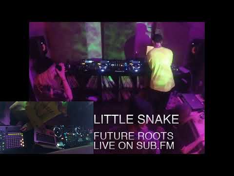Future Roots | sub.fm January 30 2020