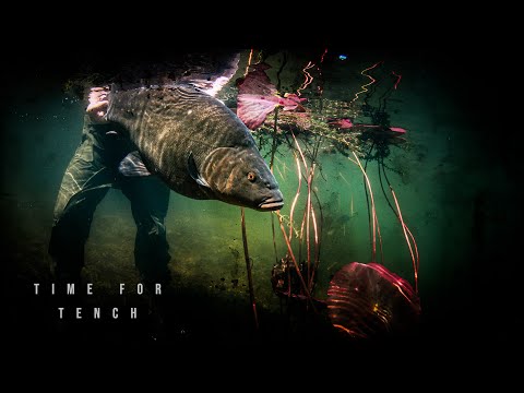Time For Tench | Fishflix
