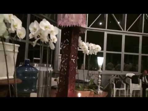 EU CANTO - FLOR DE JAGUBE - MARIA DAMIÃO 25